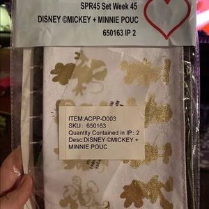 NIP THE HAPPY PLANNER DISNEY MICKEY MOUSE MINNIE MOUSE PEN CASE POUCH FOLDER